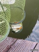 户外运动“搞定”年轻人