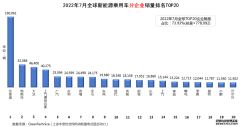 2022年7月全球新能源汽车销量：疯狂的“迪王”